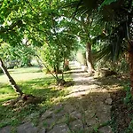 App Coki 3- By Interhome Apartment